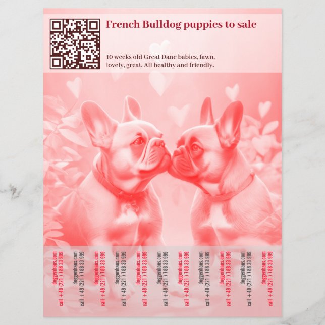 Venda de filhotes de Frenchie Design Flyer (Frente)