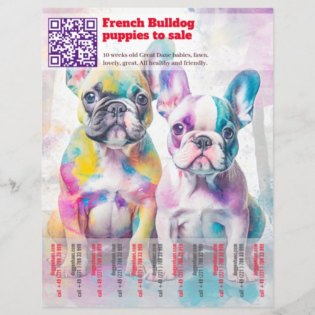 Venda de filhotes de Frenchie Design Flyer (Frente)