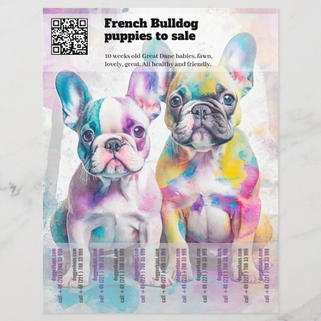 Venda de filhotes de Frenchie Design Flyer (Frente)