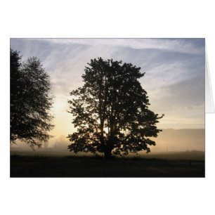 Vendo o cartão de ambos os lados