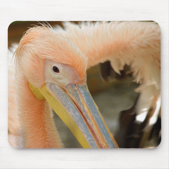 Vendo Você Pelican Mousepad (Frente)