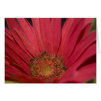 Venha para o seu cartão de sentidos