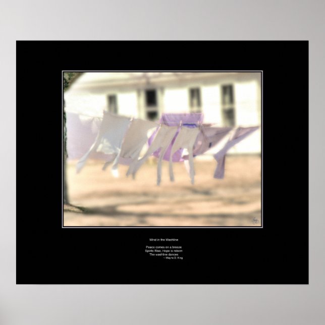 Vento na Washington - Poster Haiku (Frente)