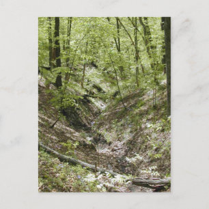 Ver a partir de cartões postais de ponte Ledges