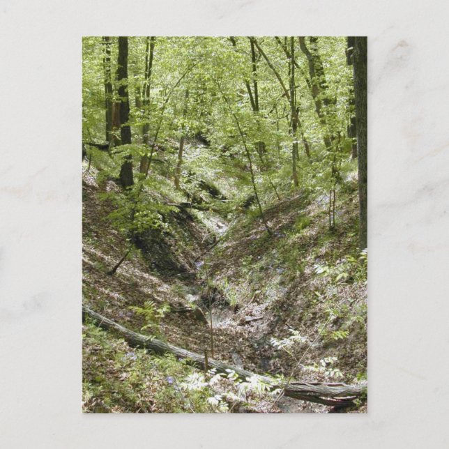 Ver a partir de cartões postais de ponte Ledges (Frente)