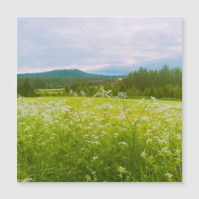Verão em Hälsingland - Helsingia  (Frente)