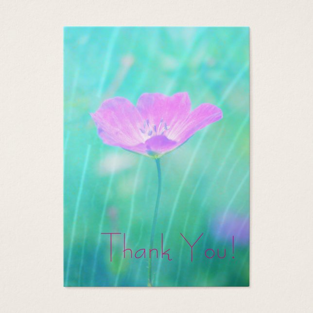 verão sem fim (Frente)