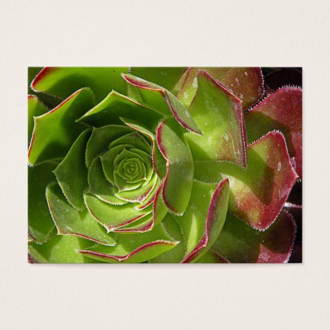 Verde (Frente)