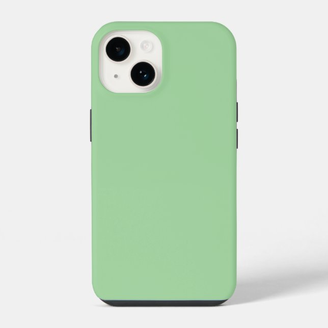 Verde Claro, cor pastel sólida, Almofada de Lança (Verso)