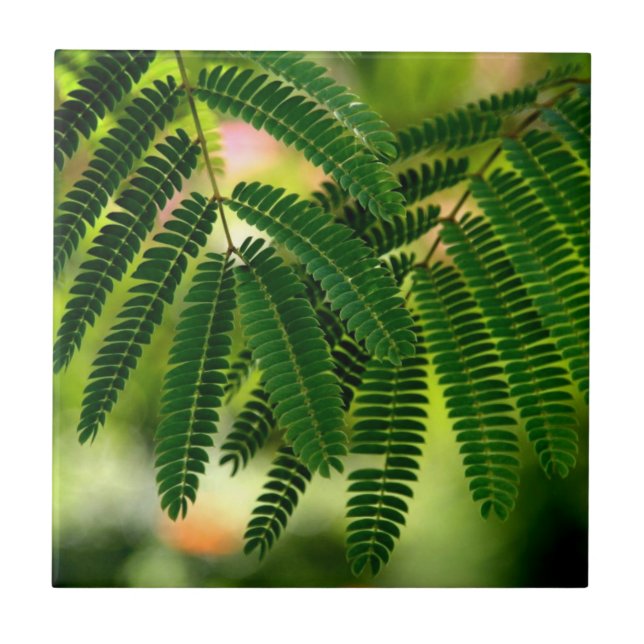 Verde deixa Azulejo cerâmico (Frente)