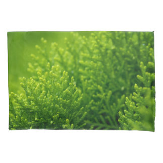 Verde deixa fundo