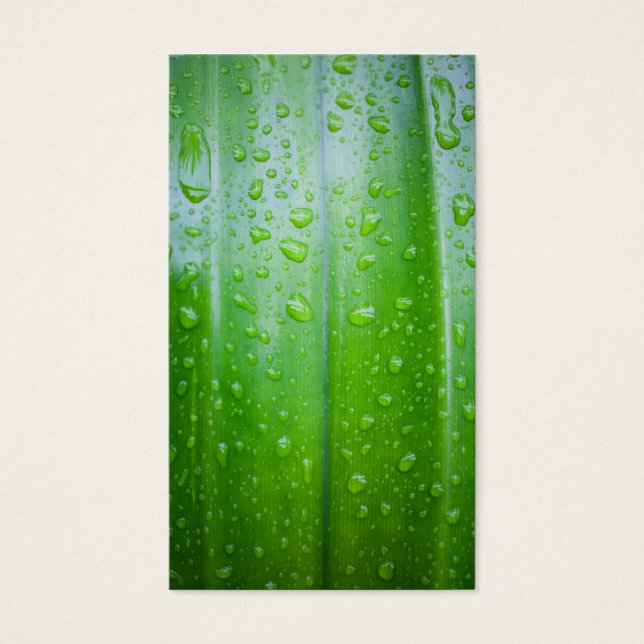 Verde deixa fundo (Frente)