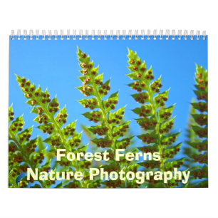Verde do calendário da fotografia da natureza das