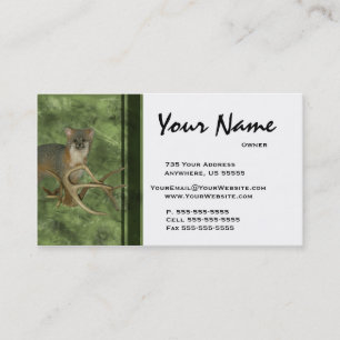 Verde do ~ dos cartões de visitas da taxidermia d