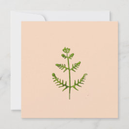 verde primavera