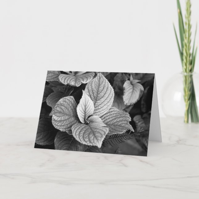 Verdes no Cartão B/W (Frente)