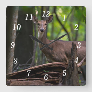 Verificando O Relógio De Parede De Saída