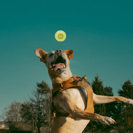 Vermelho, chile verde, zia sol