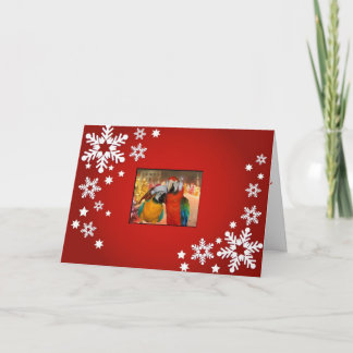 Vermelho do cartão do papagaio