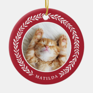 Vermelho dos enfeites de natal da foto do animal