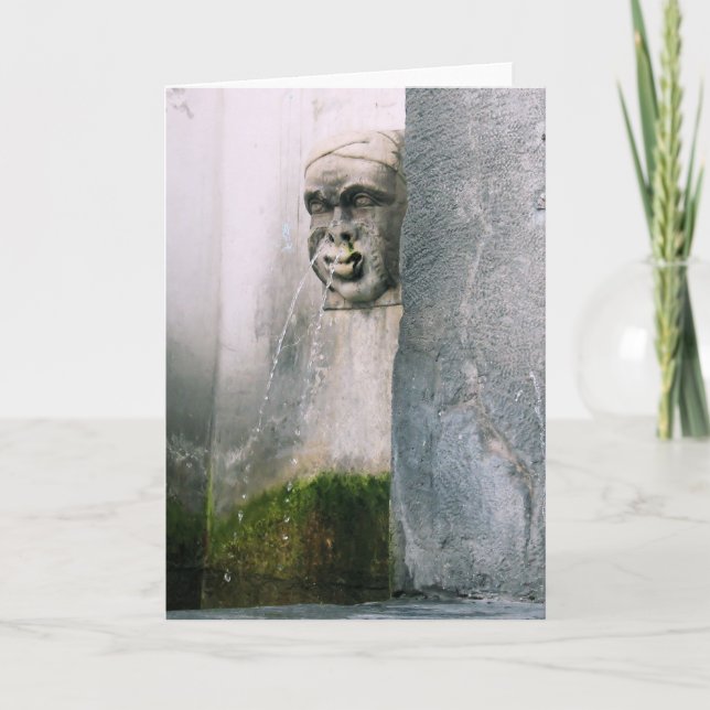 Verona Fountain - Cartão de saudação de Dentro Vaz (Frente)