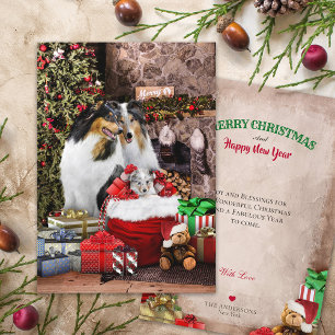 Véspera de Natal Russa, Família Collie Rough - C