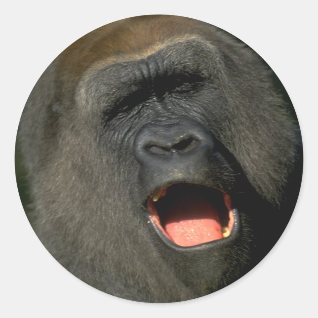 Vestir para criar o seu autocolante personalizado (Frente)