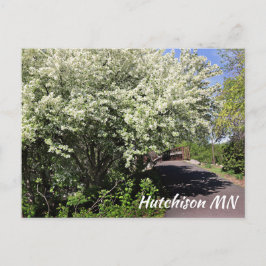 Veterans Memorial Park Hutchinson MN cartão postal