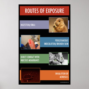 Via de exposição Poster de informação de segurança