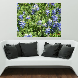 Vibrante Poster de Parede Texas Bluebonnet