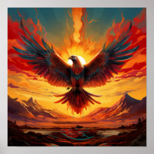 Vibrante Sunrise - Poster da Phoenix - Vida Selvag
