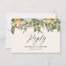 Vice-presidente da RSVP da rústica rustica da lara