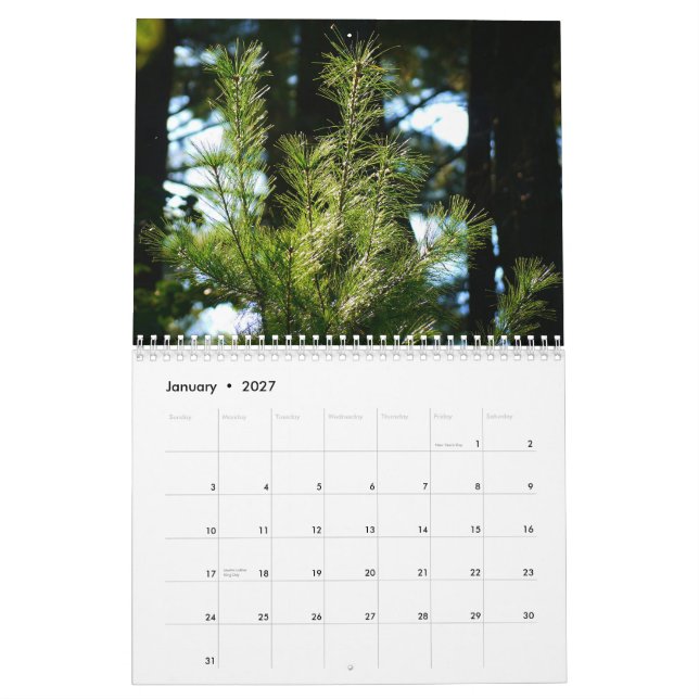 vida 2015 em torno de nós calendário (Jan 2027)