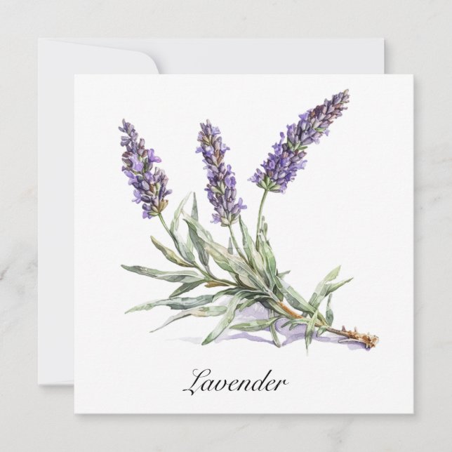 Vida Herbal: Lavanda, personalizável (Frente)