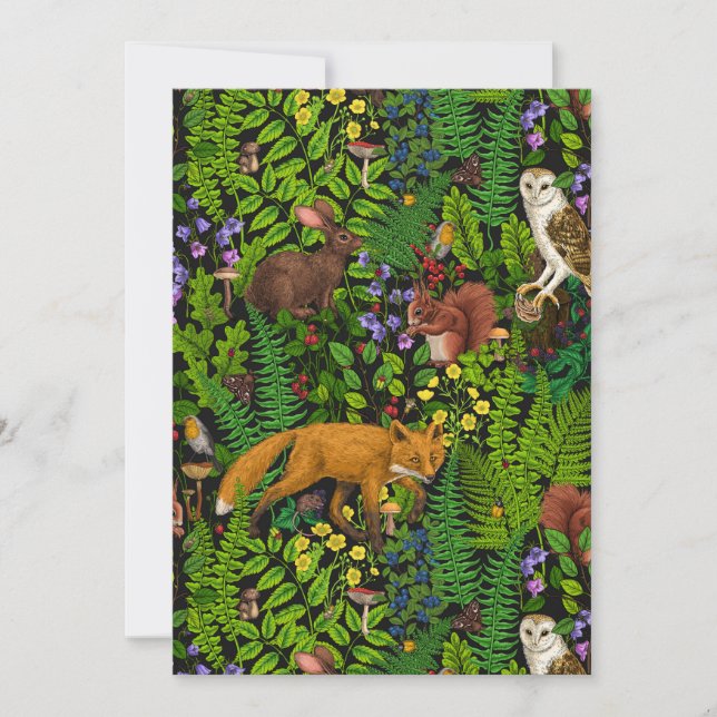 Vida na floresta (Frente)