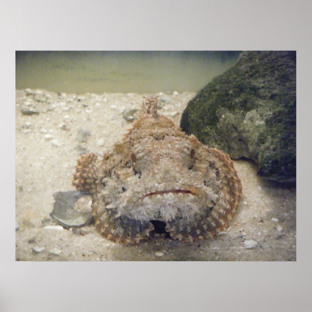 Vida no Mar do Alabama nº 2 Poster (Frente)
