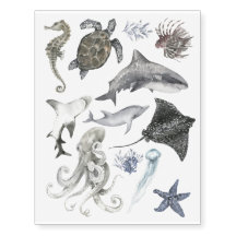 Vida Selvagem Oceânica Tubarão Golfinho Cavalo-Mar