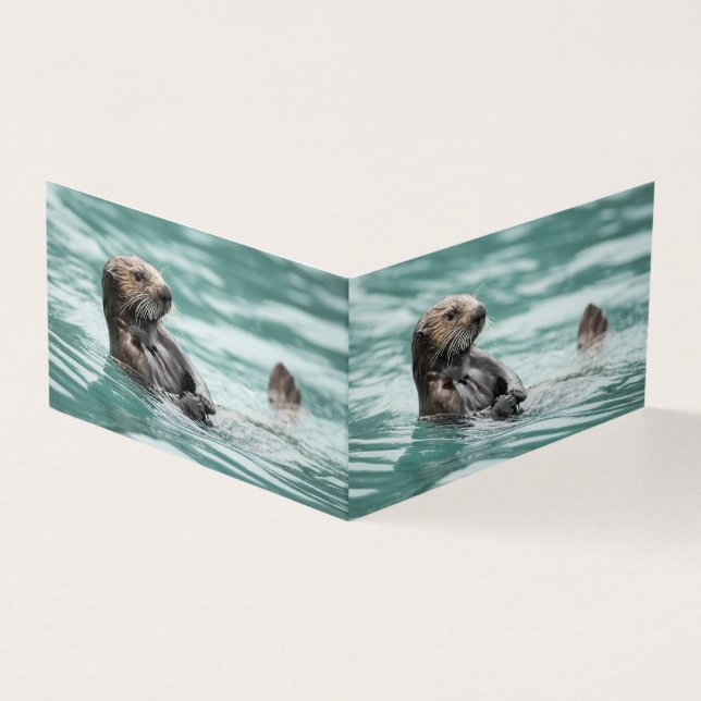 Vigiando a lontra marítima (Exterior)