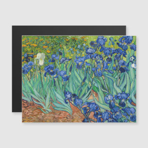 Vincent Van Gogh - Íris