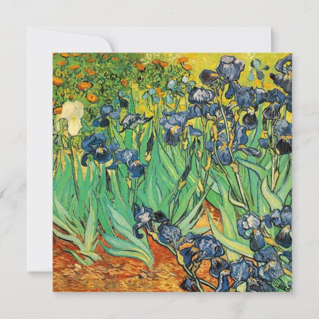 Vincent van Gogh,Íris (Frente)