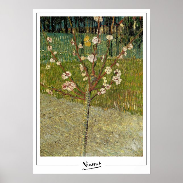 Vincent Van Gogh Zedign Art Poster nº 14-3 (Frente)