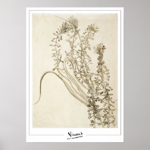 Vincent Van Gogh Zedign Art Poster nº 356-3