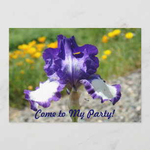 Vindo a meu partido! Convites do divertimento da