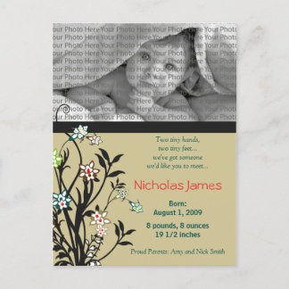 Viney Baby Birth Anúncio Khaki Teal