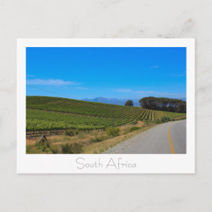 Vineyard Nature View South Africa SA Cartão postal
