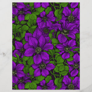 Vinha-púrpura Clematis