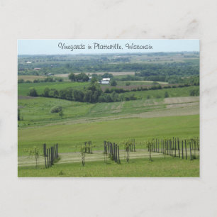 Vinhas em Platteville, cartão postal de Wisconsin
