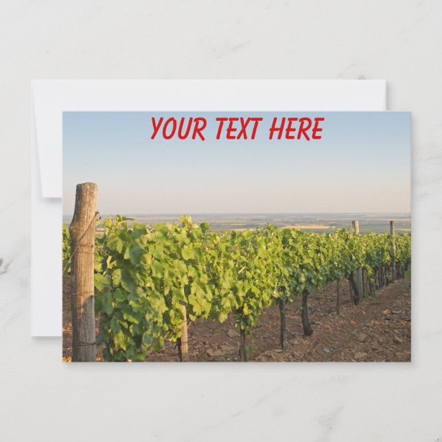 Vinhas Tokaj Personalizáveis, cartão da Hungria (Frente)