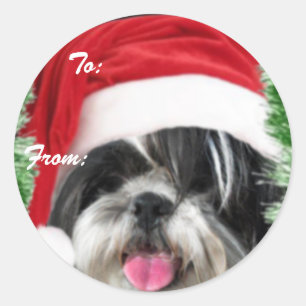 Vinheta de Etiqueta de Presente Shih Tzu de Natal