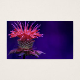 Vinho de framboesa rosa Flor de abelha em roxo